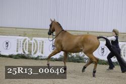 25R13_00646 thumbnail