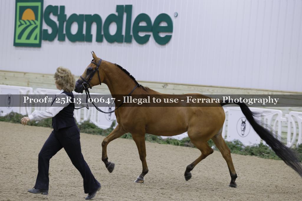 Proof Number 25R13_00647