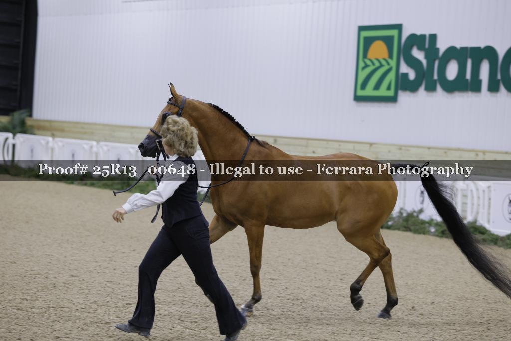 Proof Number 25R13_00648