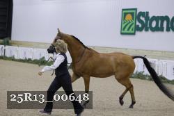 25R13_00648 thumbnail