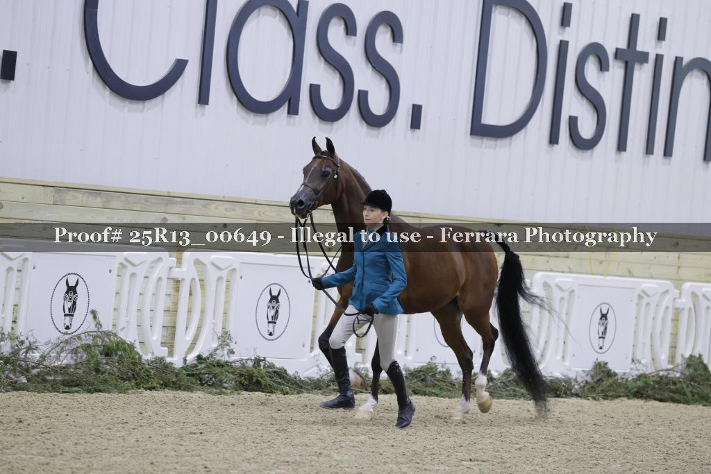 Proof Number 25R13_00649