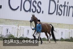 25R13_00649 thumbnail