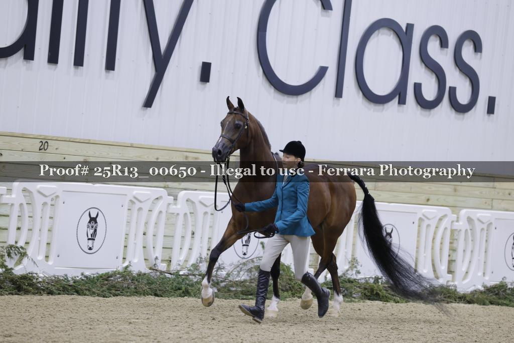 Proof Number 25R13_00650