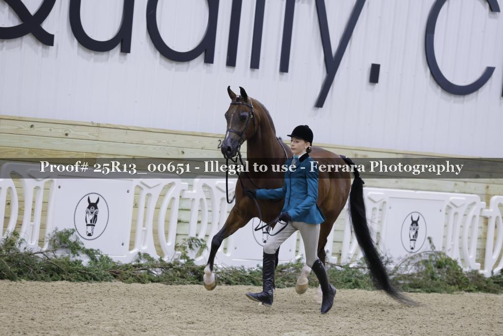 Proof Number 25R13_00651