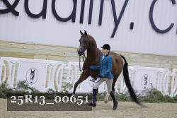 25R13_00651 thumbnail