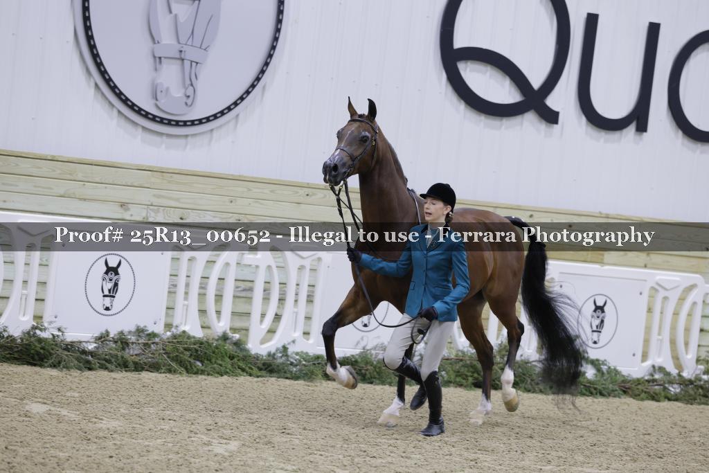 Proof Number 25R13_00652
