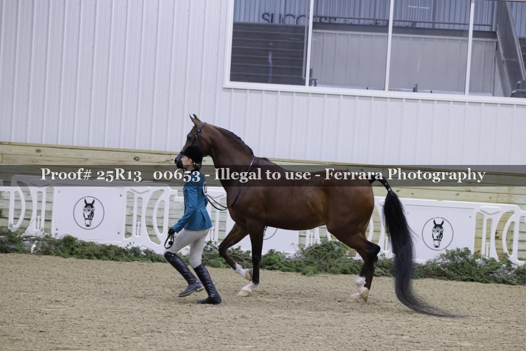 Proof Number 25R13_00653