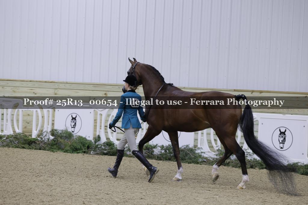 Proof Number 25R13_00654