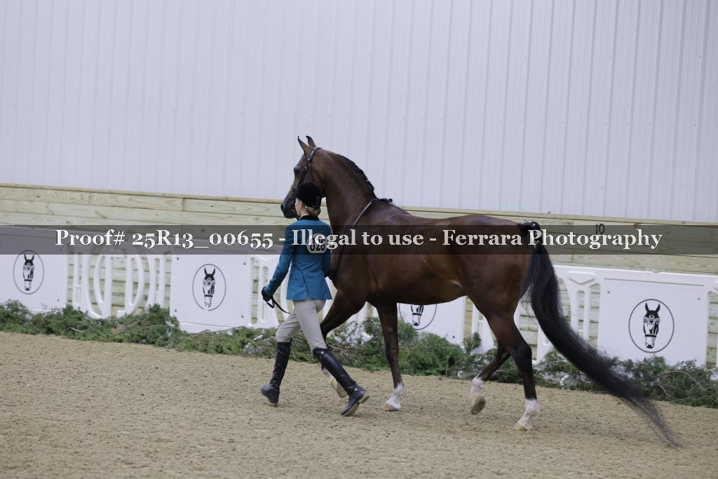 Proof Number 25R13_00655