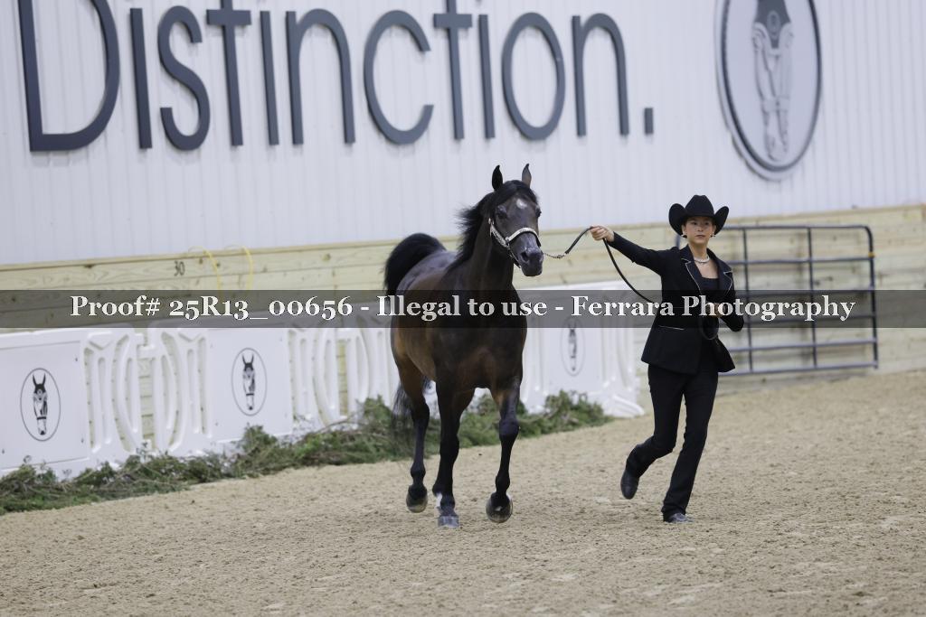 Proof Number 25R13_00656