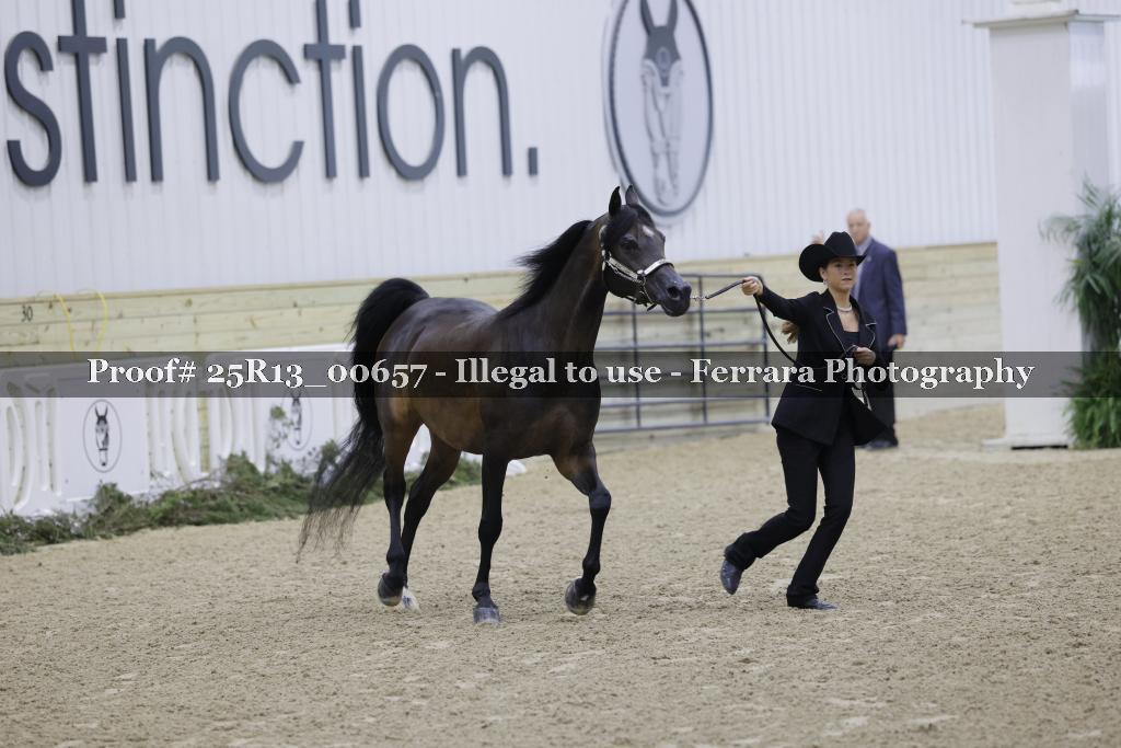 Proof Number 25R13_00657