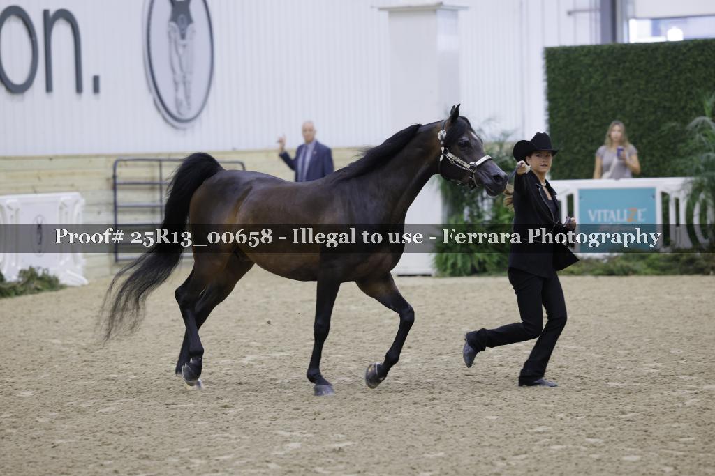 Proof Number 25R13_00658