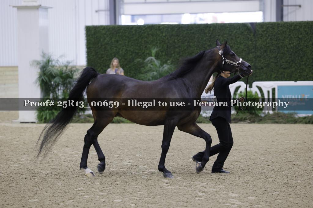 Proof Number 25R13_00659