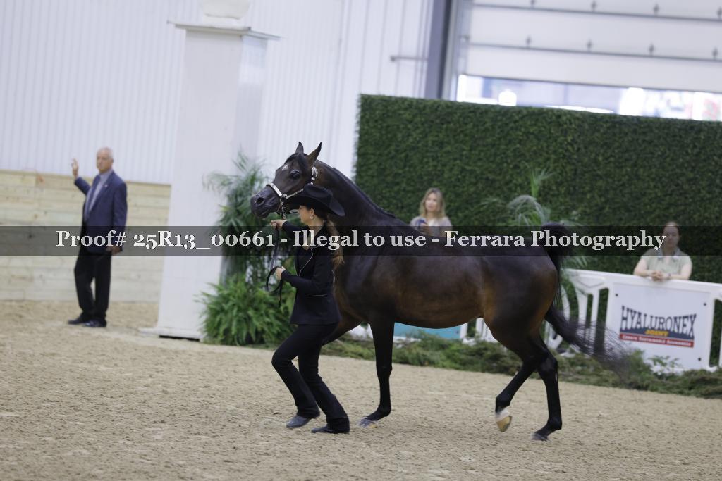 Proof Number 25R13_00661
