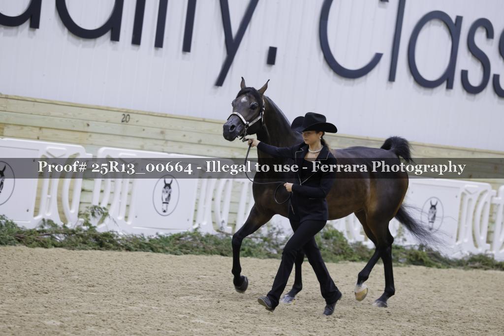 Proof Number 25R13_00664