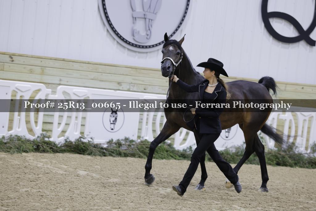 Proof Number 25R13_00665