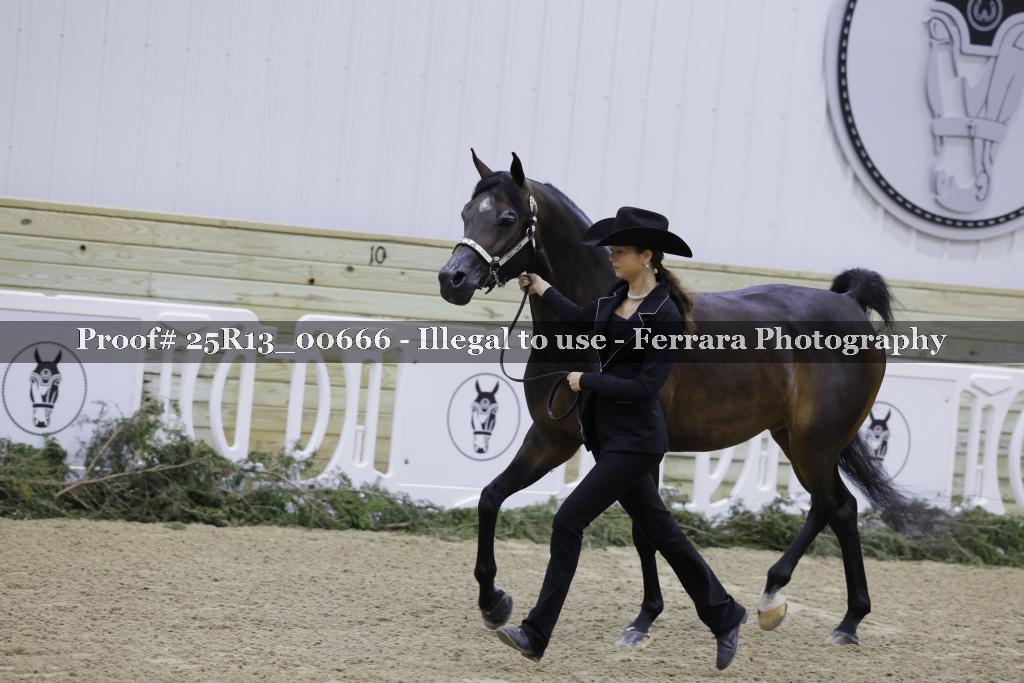 Proof Number 25R13_00666