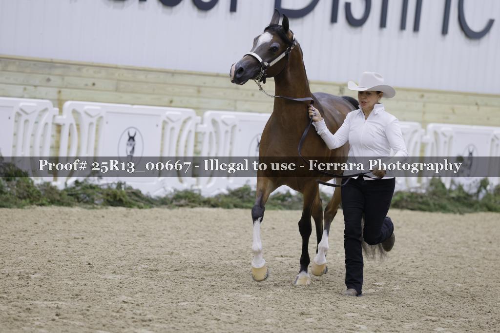 Proof Number 25R13_00667