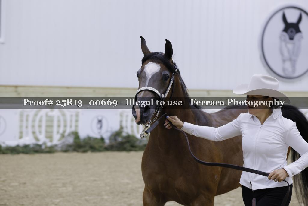 Proof Number 25R13_00669
