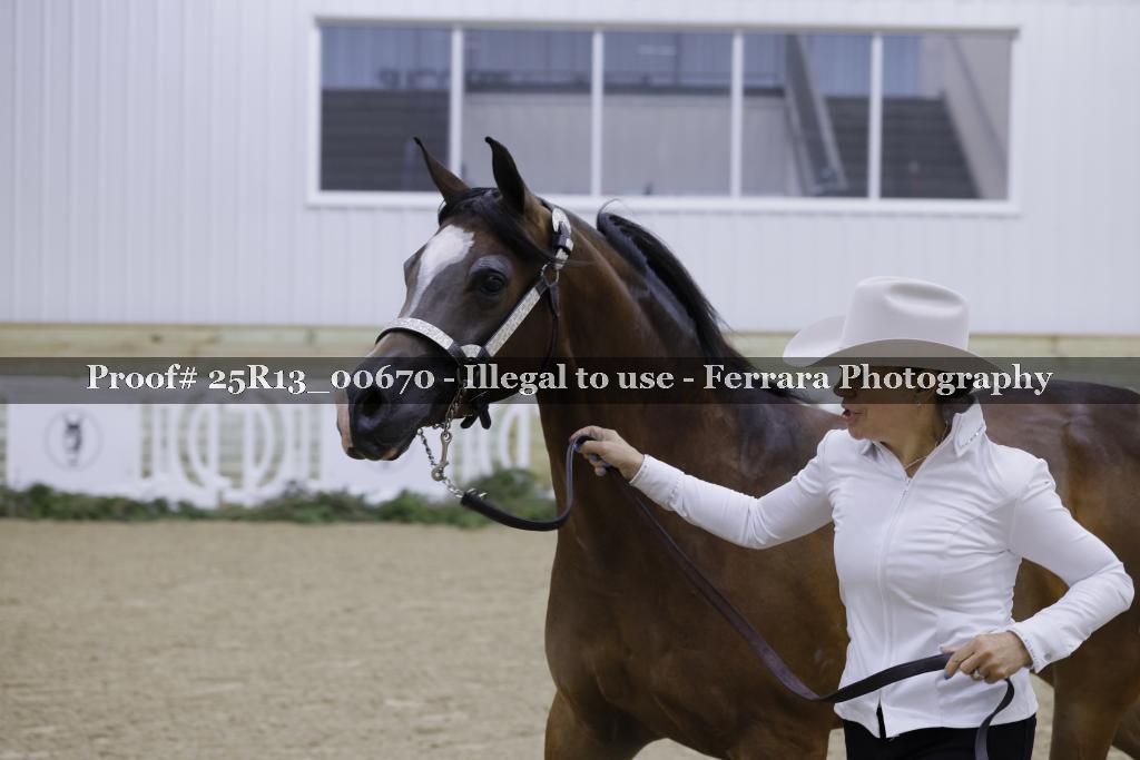 Proof Number 25R13_00670