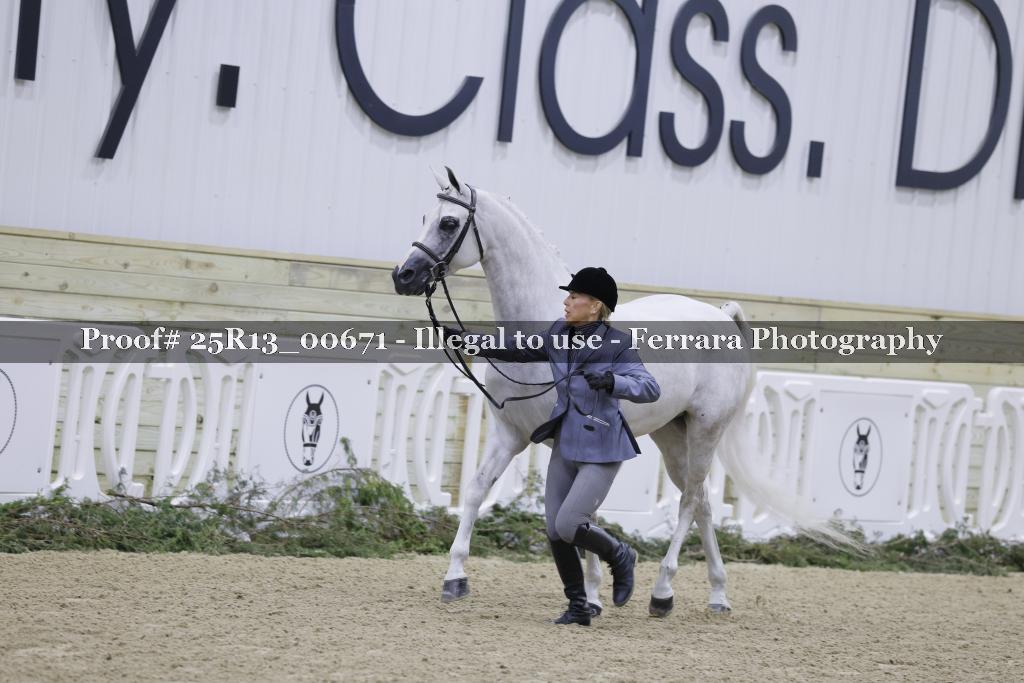 Proof Number 25R13_00671