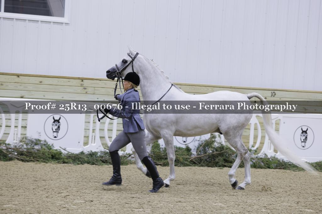 Proof Number 25R13_00676