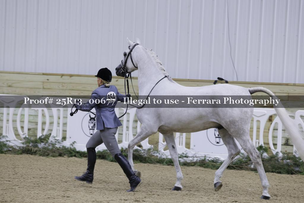 Proof Number 25R13_00677