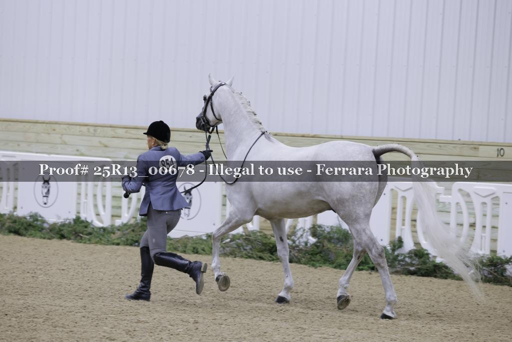 Proof Number 25R13_00678