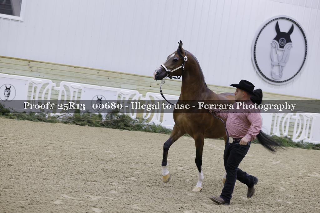 Proof Number 25R13_00680