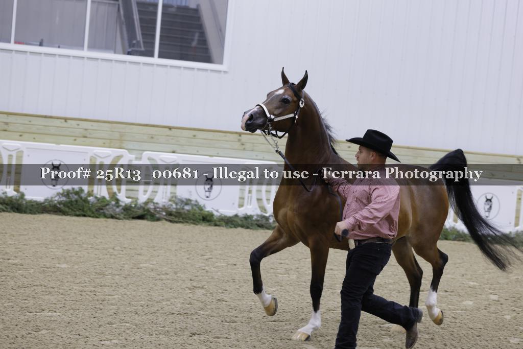 Proof Number 25R13_00681