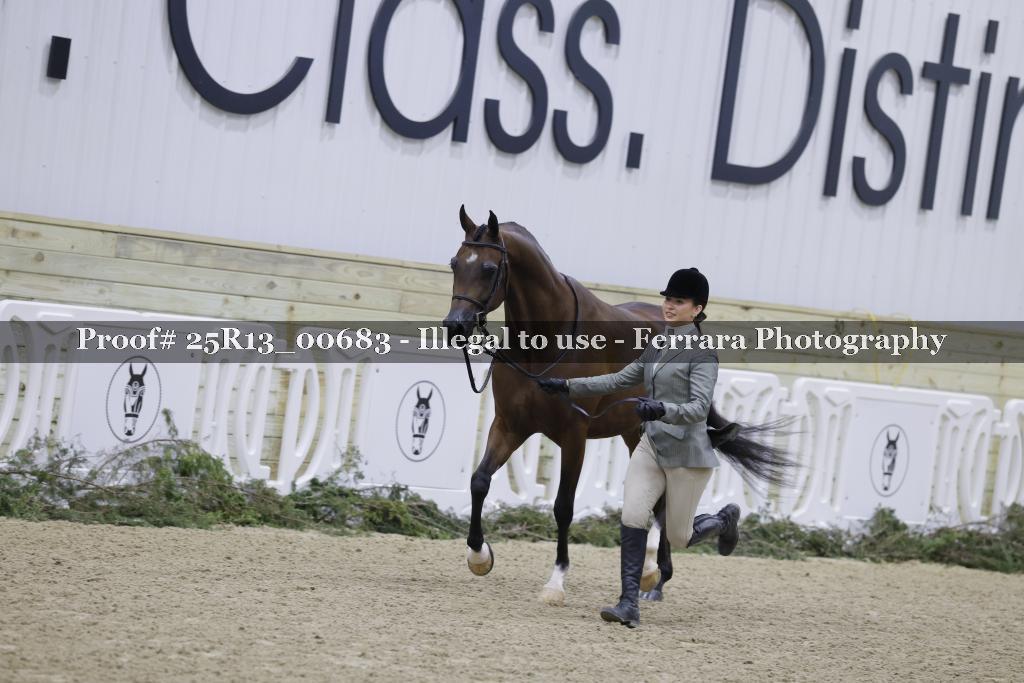 Proof Number 25R13_00683