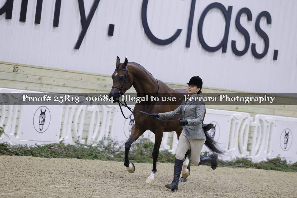 Proof Number 25R13_00684