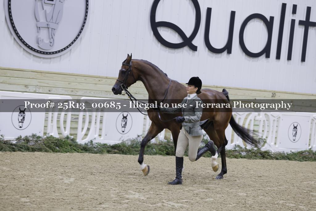 Proof Number 25R13_00685