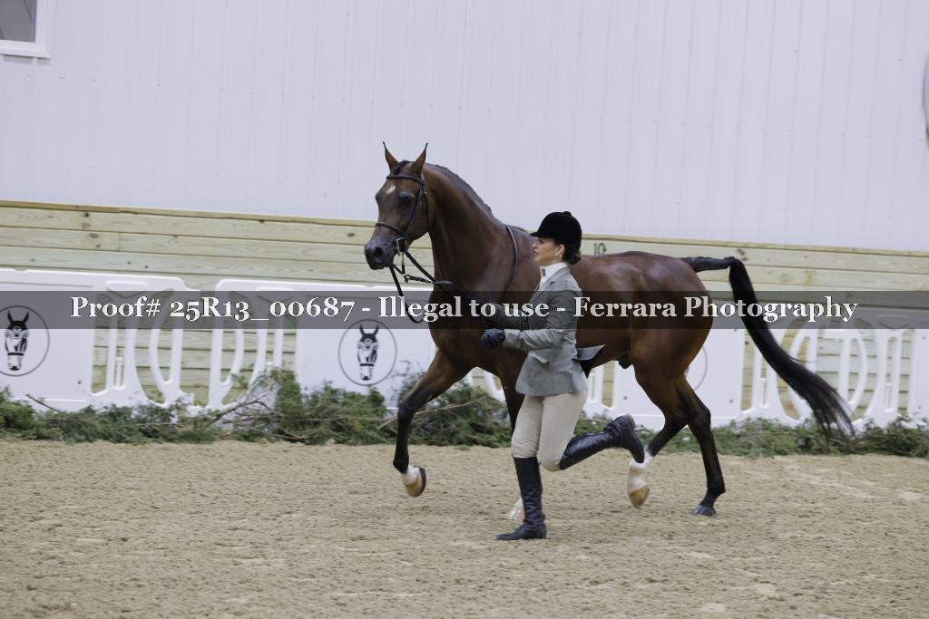 Proof Number 25R13_00687