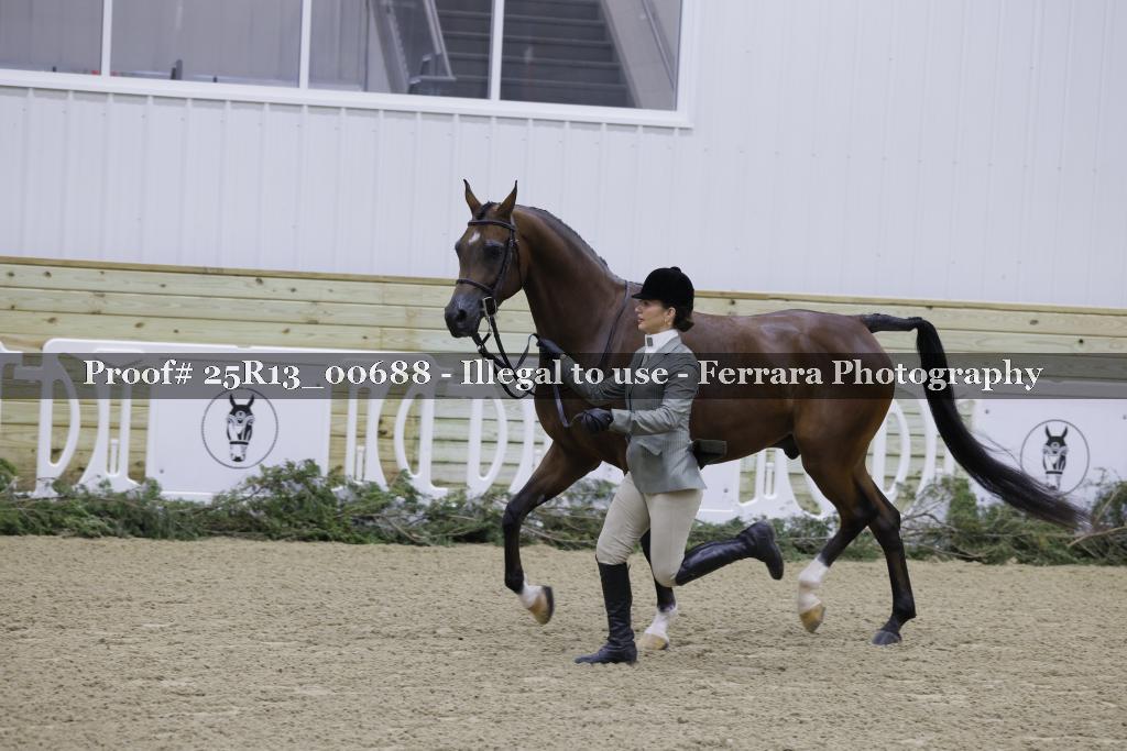 Proof Number 25R13_00688