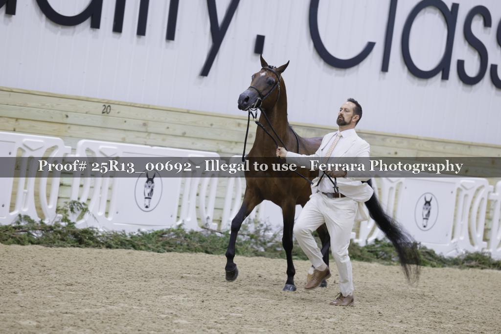 Proof Number 25R13_00692