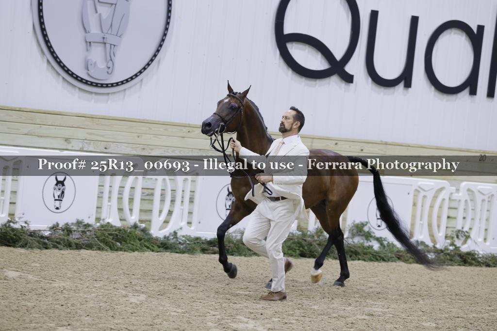 Proof Number 25R13_00693