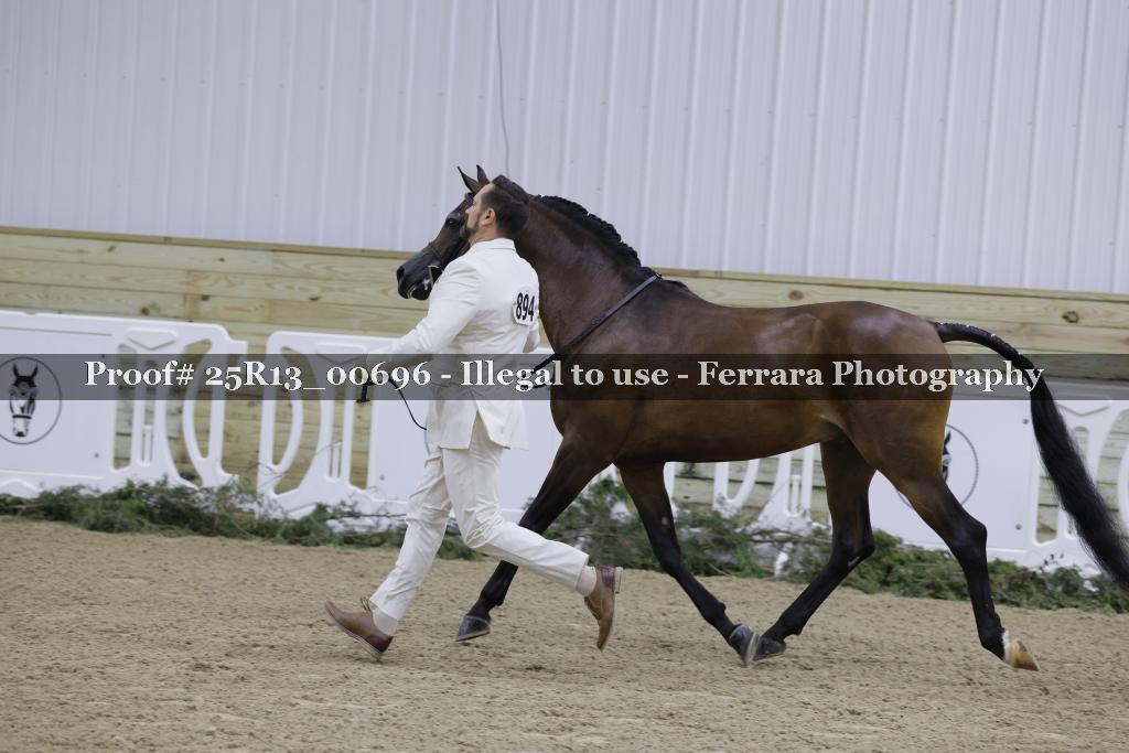 Proof Number 25R13_00696