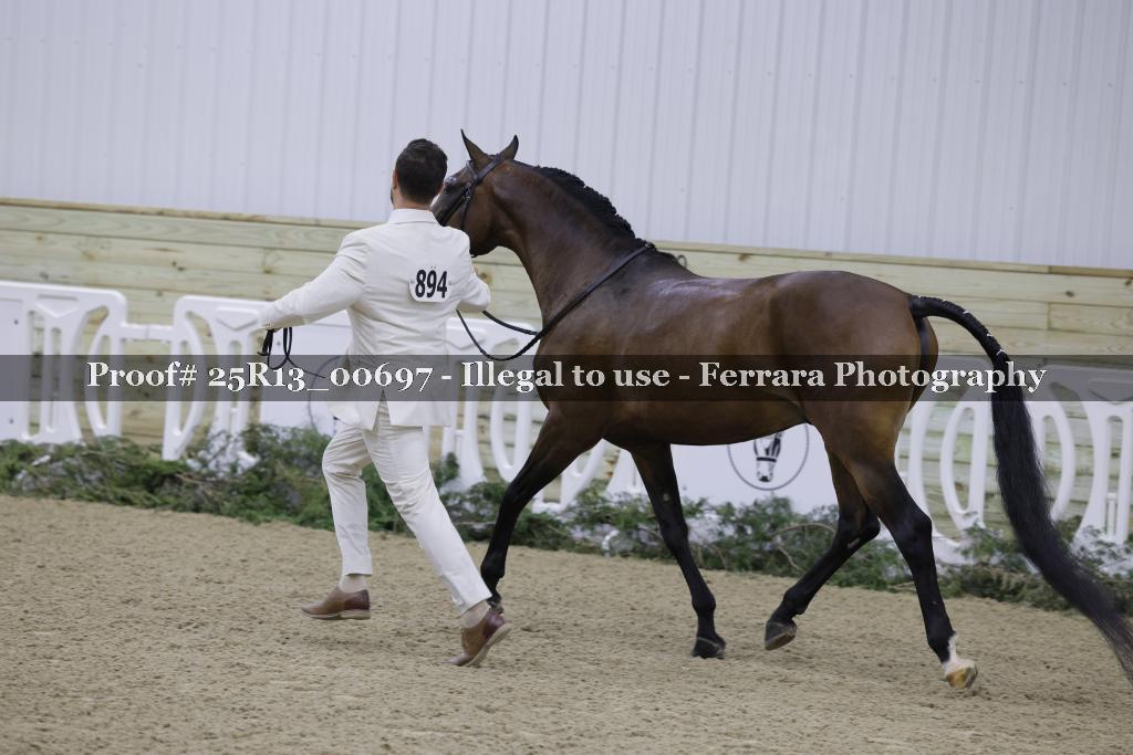 Proof Number 25R13_00697