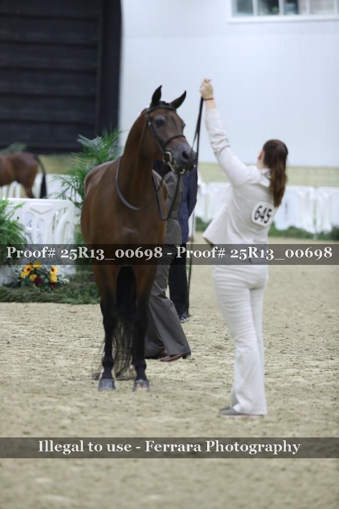 Proof Number 25R13_00698