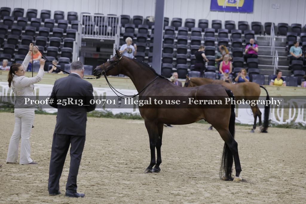 Proof Number 25R13_00701