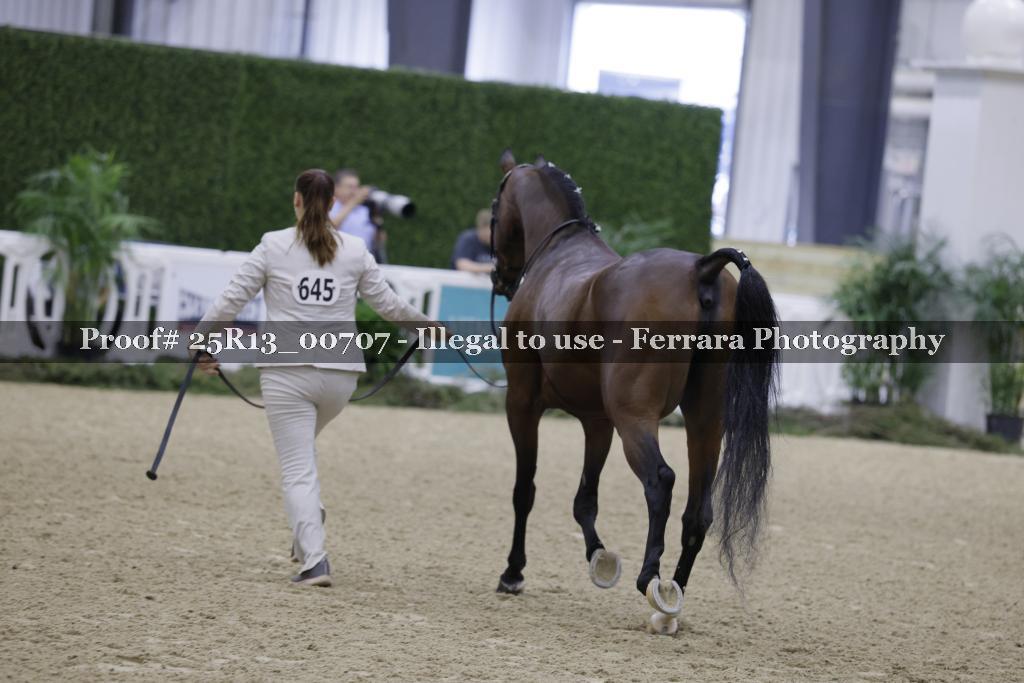 Proof Number 25R13_00707