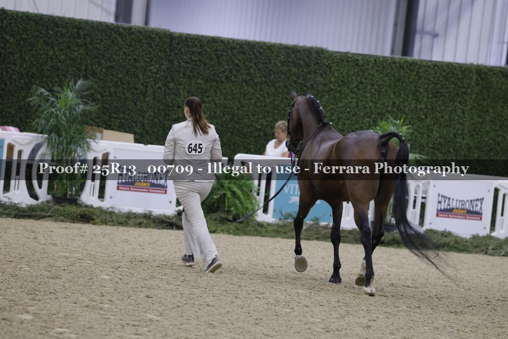 Proof Number 25R13_00709