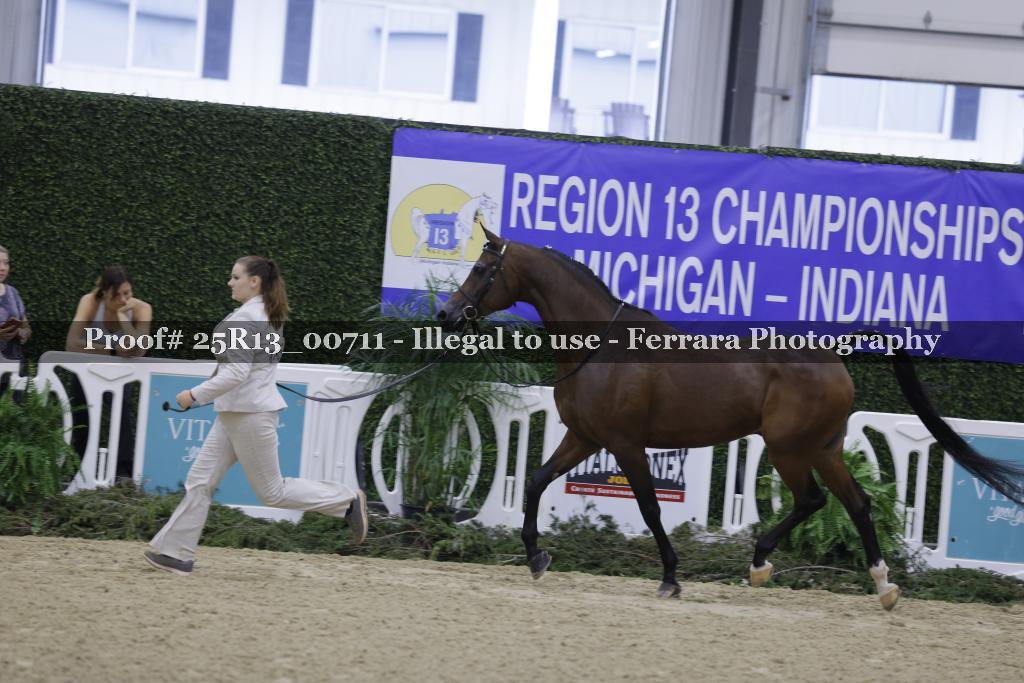 Proof Number 25R13_00711