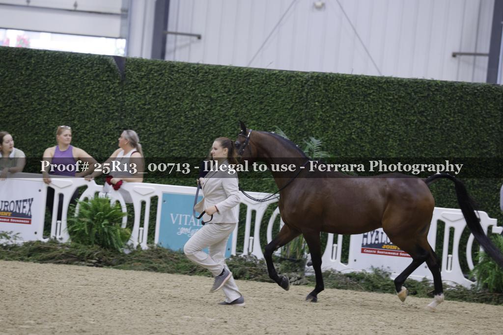 Proof Number 25R13_00713
