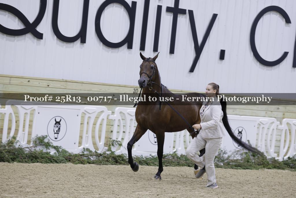 Proof Number 25R13_00717