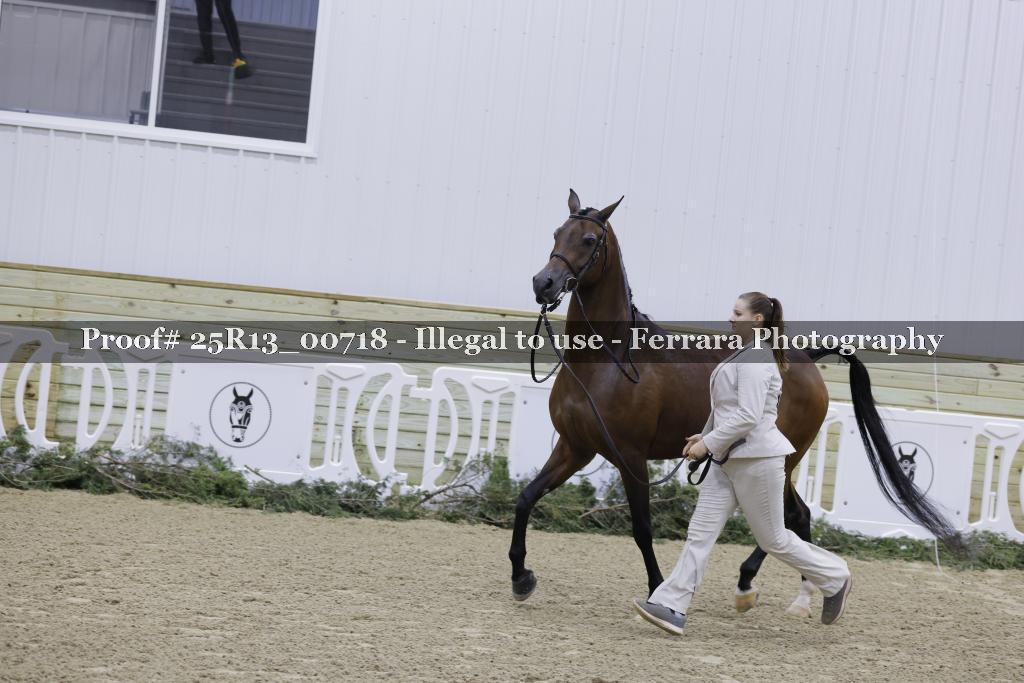 Proof Number 25R13_00718