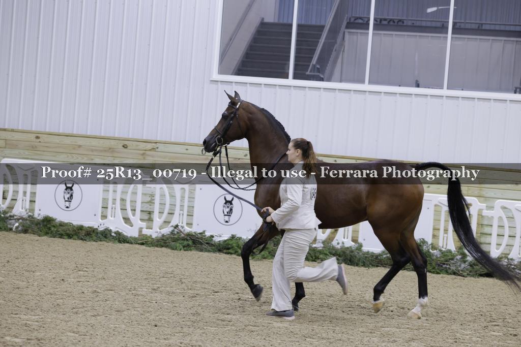 Proof Number 25R13_00719