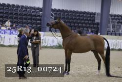 25R13_00724 thumbnail