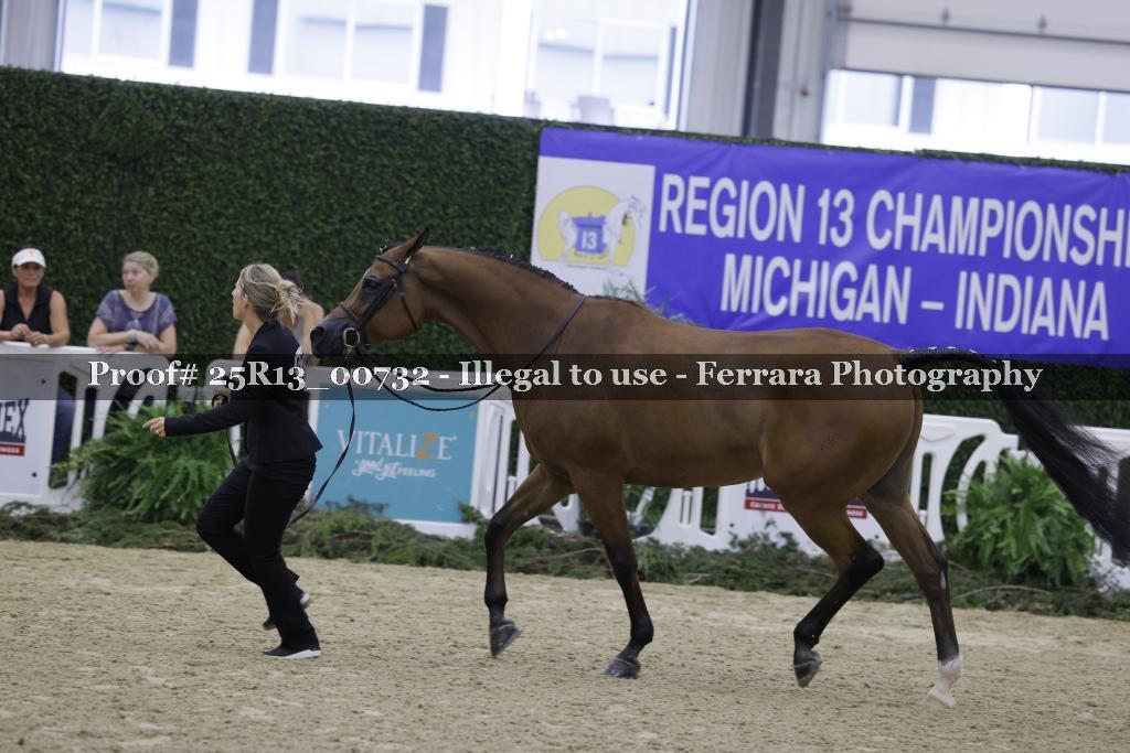 Proof Number 25R13_00732